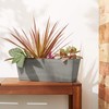Arcadia Garden Products PSW U45CT Plastic/Stone/Wood Composite Simplicity Window Box,