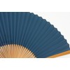 Hasegawa Kyō Fan, Kasumi, Kyoto Artisans, Handmade, Fan Bag Included,