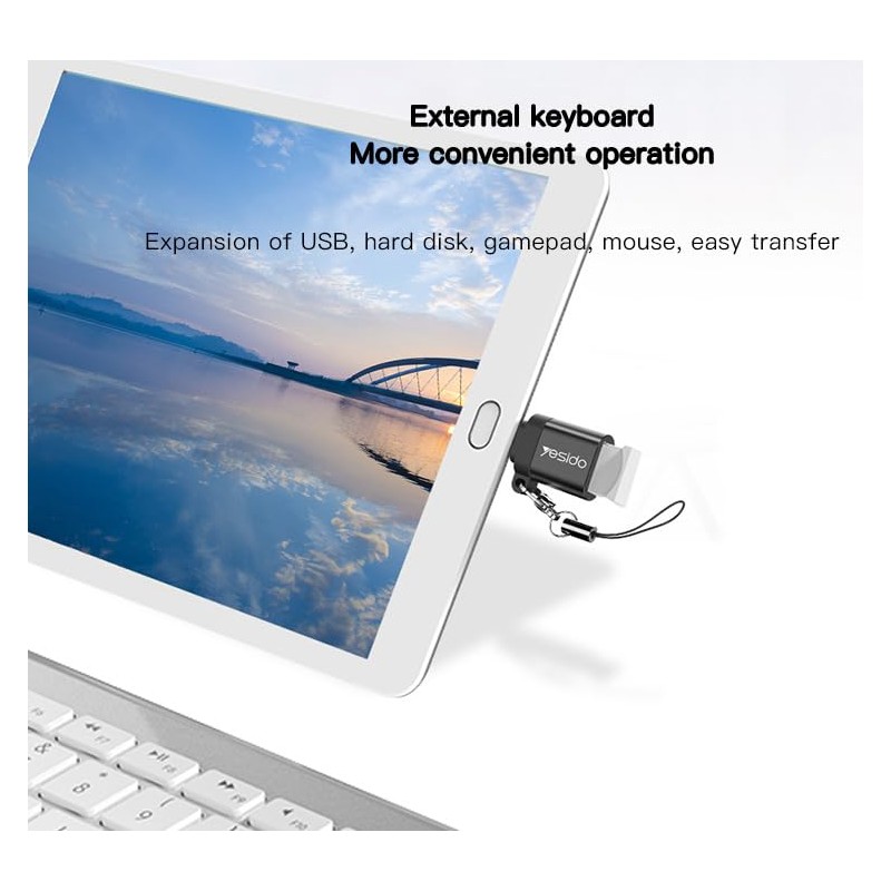 Yesido USB to Type-C OTG Mini Adapter with Lanyard, Aluminium