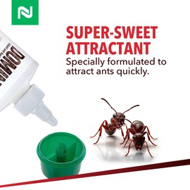 Dominant Liquid Ant Bait, Borax-Based Eliminator, Super Sweet Attractant, Controls and eliminates Household Ants, Use Indoors and Outdoors, 16 oz