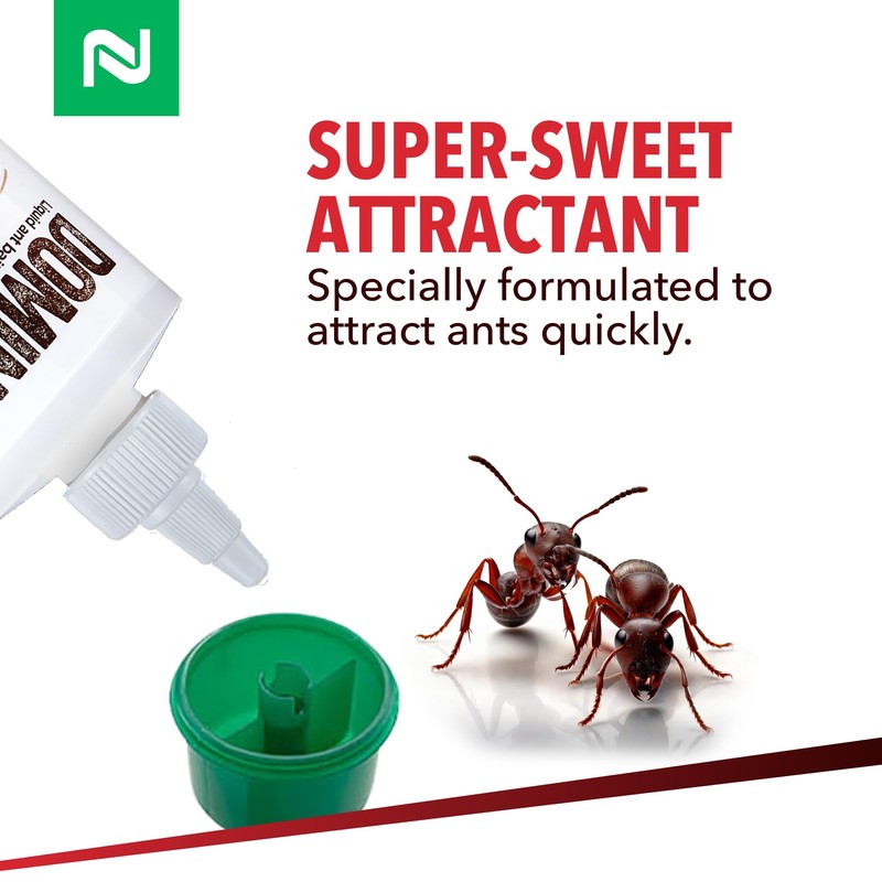 Dominant Liquid Ant Bait, Borax-Based Eliminator, Super Sweet Attractant, Controls