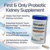 Renadyl Kidney Probiotic Supplement | Urea, Creatinine, & Uric Acid