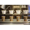 Blue Bottle Coffee - Night Light Decaf