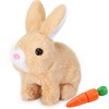 Sunshine smile Bouncing Rabbit, Bouncing Rabbit Toy, Talking Rabbit, Rabbit