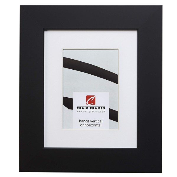 Craig Frames 74273 11 x 14 Inch Satin Black Picture