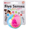 Sharples Five Senses Rubber Ball, Small,all breeds