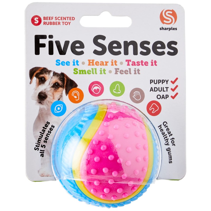 Sharples Five Senses Rubber Ball, Small,all breeds