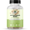 Amazing Botanicals Astragalus Extract Tablets 2000mg 10X 70% Polysaccharide