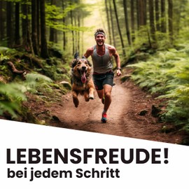MYBUDDY Move Gelenktabletten Hund mit Grünlippmuschel MSM Teufelskralle Hyaluron Hefe Glucosamin Curcuma Ingwer für alle Rassen Nahrungsergänzungsmittel für Hunde Made in Germany