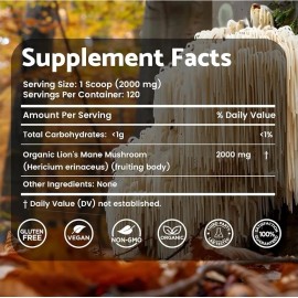 Lions Mane Powder, Mushroom Supplement - 2000mg - Lions Mane Supplement - ..125
