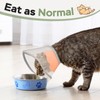 Cat Cone Collar Soft: Comfortable Waterproof Mesh Recovery Cone After