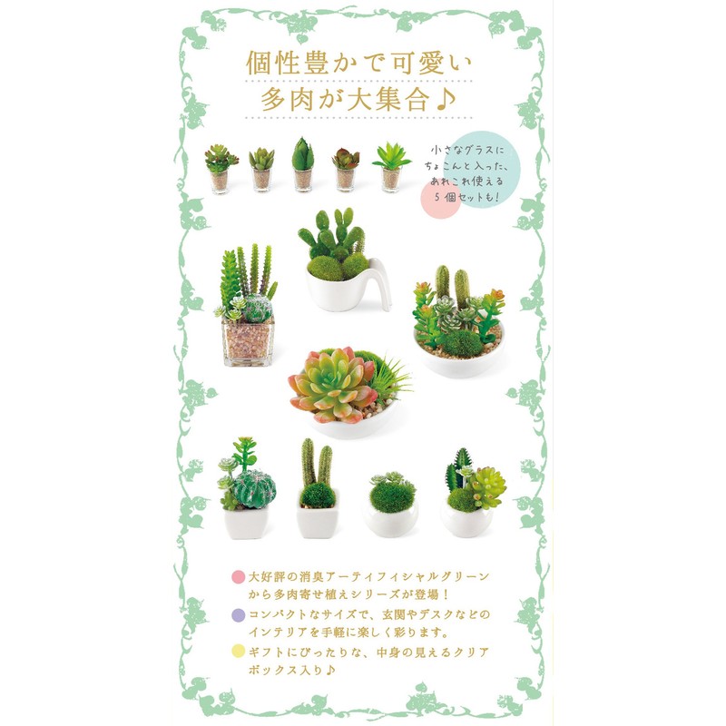 Kishima KH-60984 CT Catalyst Deodorizing Artificial Green Succulent Refellium