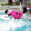 Kuoser Dog Life Jacket, High Flotation Dog Life Vest for