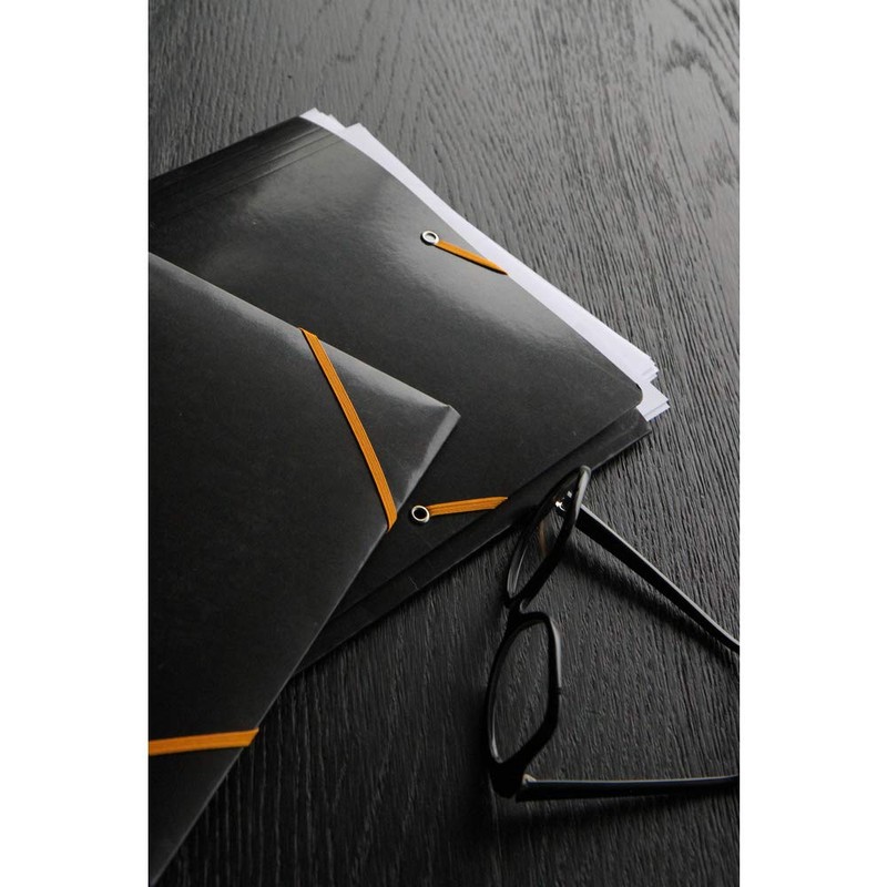 RHODIA 19249C - Elastic Folder - Cardboard Pocket with 3