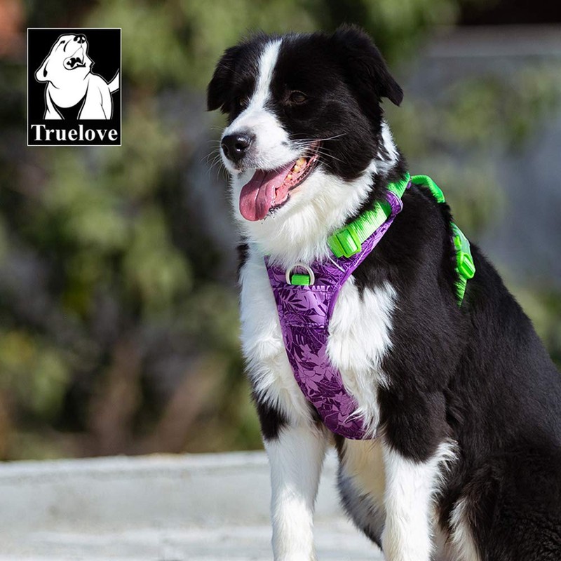 WINHYEPET True Love No-Pull Dog Harness, Adjustable Outer Vest, Reflective