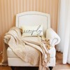Ogiselestyle Farmhouse Throw Pillow Cover with Simply Blessed Quotes, 12