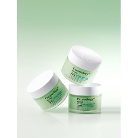 BeFine The Arc Calming Moisturizer 55g / 비파인 더 아크 카밍 모이스처라이저 55g