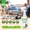 Eco Defense USDA Biobased Lice Spray for Furniture, Bedding, and