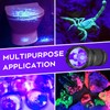 ULTRAFIRE 365nm UV Flashlight, 10W Single Mode Black Light Flashlight,