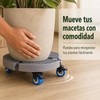 Base para Maceta con Ruedas Soporte para Plantas Rodante Ajustable