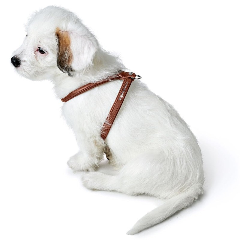 HUNTER Round & Soft Canadian UP Dog Harness, Colour: Black,