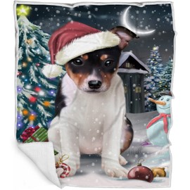 Doggie of the Day Rat-Terriers Dog Blanket - Have a Holly Jolly Christmas - Super Soft & Warm Pet Theme for Sofa or Bed, Warm Fleece, Sherpa or Woven Material, BLNKT75611 (50x60 Woven)