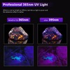 WINDFIRE UV Flashlight Rechargeable, 365nm Blacklight Flashlights Powerful, Black Light