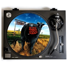 Universal Blink-182 DJ Turntable Slipmat for Vinyl Records mat Pop Punk Rock Dude Ranch lp