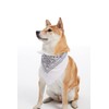 MissShorthair Bandanas Face Scarf for Men & Women - Bandana