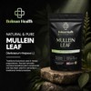 Mullein Leaf Extract 10:1 Capsules | 1000mg Per Serving |