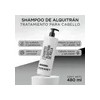 Shampoo De Alquitran De Hulla Isrant Beauty 480ml