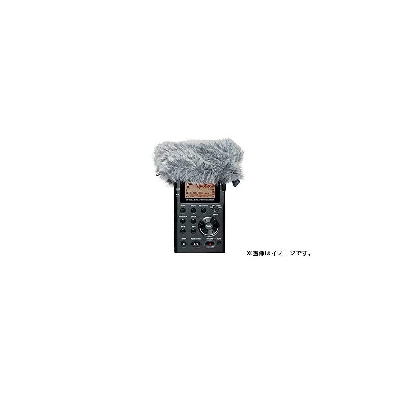 Kose TASCAM Windscreen WS-11 Windscreen for DR Series