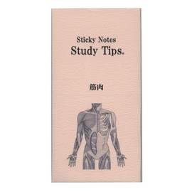 Paper Seasons FS-SST008 Sticky Note Study Tips [Muscle] Sticky Notes