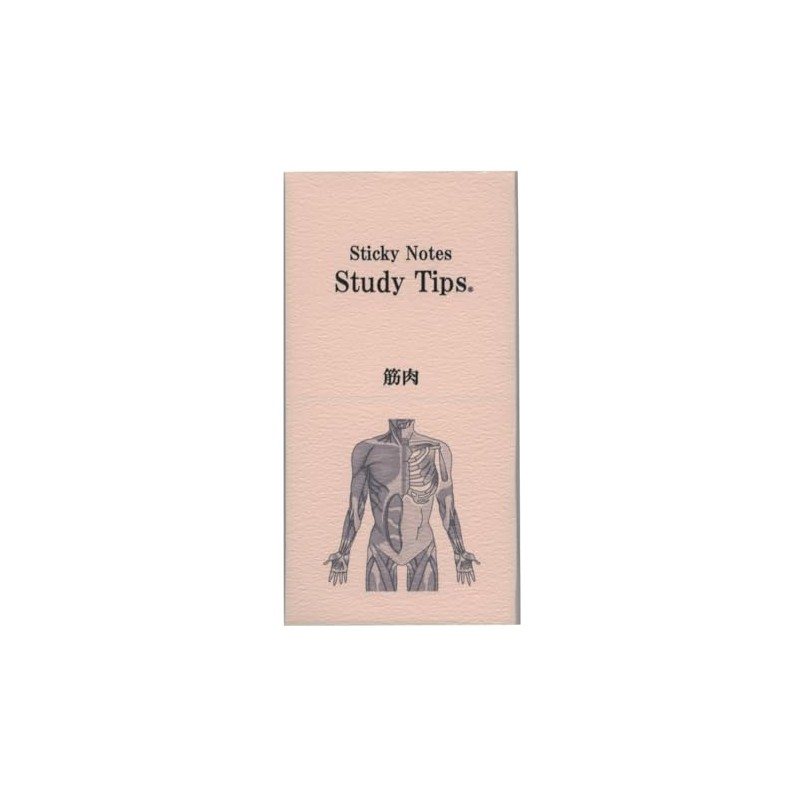 Paper Seasons FS-SST008 Sticky Note Study Tips [Muscle] Sticky Notes