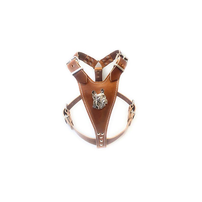 Beautiful Brown Leather Dog Harness Medium Size with French Bulldog