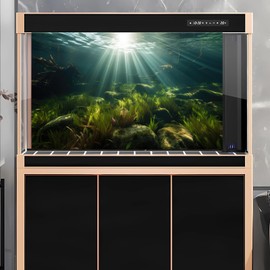 Underwater Aquarium Background Under The Sea Aquatic Grass with Sunbeams Terrarium Background Underwater Rocks with Moss Fish Tank Background Tranquil Natural Underwater Seascape Backdrop 30x18in