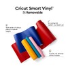 Cricut 2008648 Smart Vinyl Removable, 1 Sheet, 33 cm x