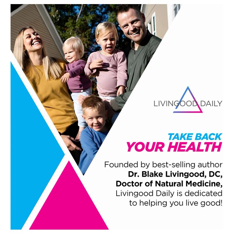 Livingood Daily Energy 60 Cápsulas Vitaminas B6 B12