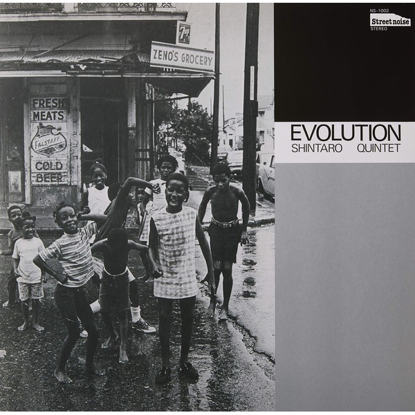 Evolution (LP) [VINYL]