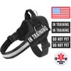 Essential Dog Harness, No Pull Pet Harness with 3 Side