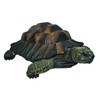 Props4shows Vivid Arts Tortoise - 17cm