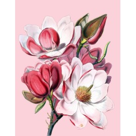 Unbranded Cactus Art in Pink and Plum, 8x10" Print