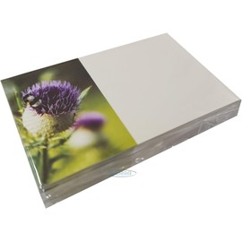 INERRA Florist Message Cards for Flower Bouquets - Small Greeting Card - Pack of 50 (Thistle)