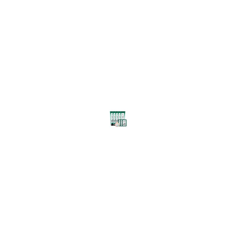 Plu 오리지널 바디스크럽 200g 5개 세트 Original Body Scrub 200g