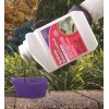 Bonide 941 Concentrated Systemic Insect Pest Control 16 oz