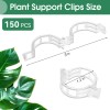 PEASUG 150 Pcs Plant Clips – Support for Climbing Plants,