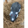 Real Wild 3D Boss Rat Archery Target