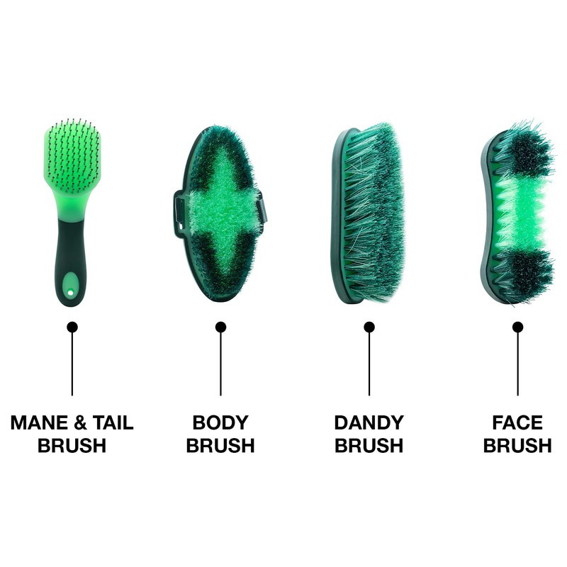 Woodside 8 Piece Equestrian Grooming Set for Horses with Carry