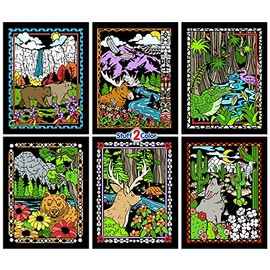 National Parks Fuzzy Coloring Poster 6 Pack (Great for Kids, Adults, Group Activities and More) - Arrives Uncolored - Yosemite, Denali, Everglades and More (Arts and Crafts Fun for All Ages)