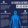 Scifit | Aminoácidos BCAA | 6 g de BCAA 2:1:1